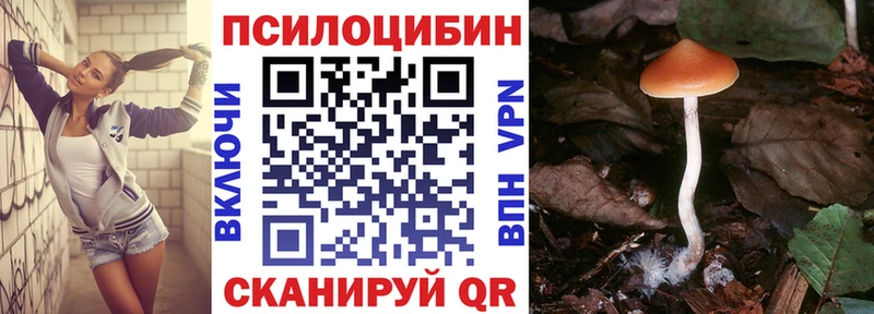 Галлюциногенные грибы мухоморы  дарк нет как зайти  Чулым 
